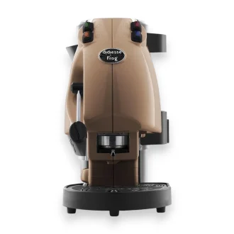 frog evolution nocciola