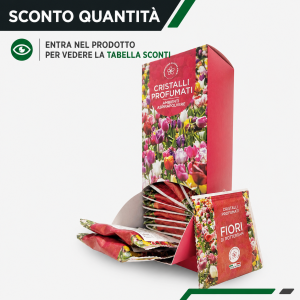Bustina granuli profumati fiori di rottherdam (box da 25 pz) sq